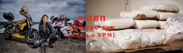 прущие крисы Ельня