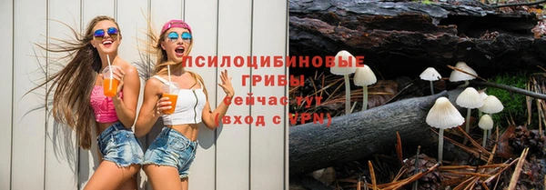 трава Медногорск