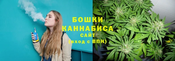 прущие крисы Ельня